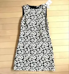 Item thumbnail for item 485c40f2-1997-4951-85d3-3ebf62d1ed6c