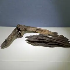 流木 2点セット