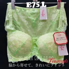 E75 トリンプ プレミアム レッドレーベル0084 ブラジャー&ショーツ