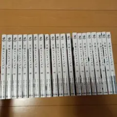 文豪ストレイドッグス 21冊