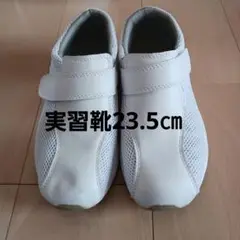 Item thumbnail for item 364356aa-76a5-4552-b2fd-1e9a3d4ac865