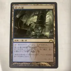 MTG 湿った墓 日本語版