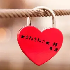 専用ページ