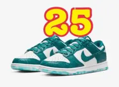 ●25オーシャングリーン NIKE ダンクロー