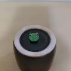 かわいいカエル顔