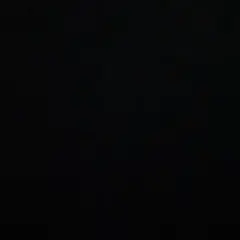 専用ページ