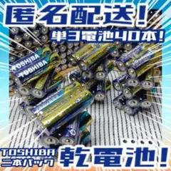 東芝アルカリ乾電池 単3/40本