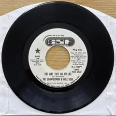 JOE QUARTERMAN & FREE SOUL 7インチシングル
