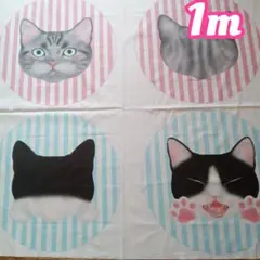 大きなねこちゃん❁ストライプ❁さらら〜1m