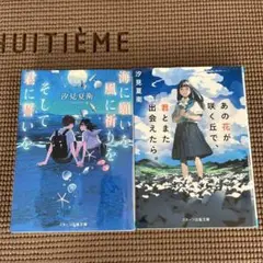 小説　汐見夏衛　２冊セット