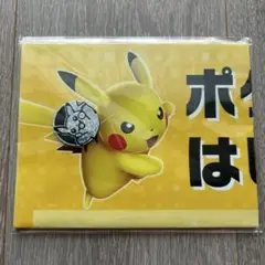 【新品未開封】ポケモンカードゲーム バトルフィールド ピカチュウコイン付き③