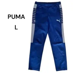 Item thumbnail for item 43413a38-392f-45d0-ae86-500ad12a224b