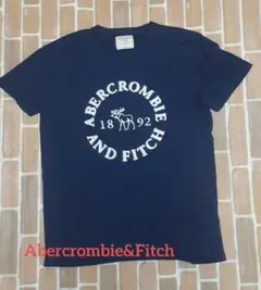 Abercrombie & Fitch ネイビー Tシャツ 半袖