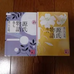 源氏物語 巻七　巻八　瀬戸内寂聴　講談社文庫