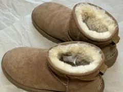 Item thumbnail for item d98bcd22-98a9-4208-ae08-17b303863f4e