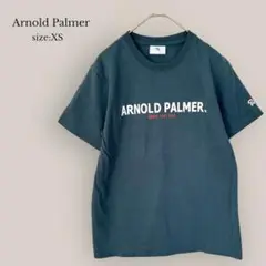 アーノルドパーマー Arnold Palmer プリントTシャツ　綿100%