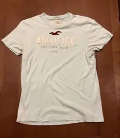 Hollister Tシャツ ミントグリーンL