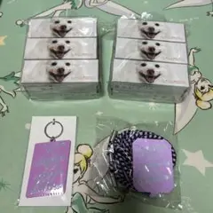 おまけ付き　SPITZ　アナログ盤　惑星のかけら　新品未使用ベルゲンキーホルダー 2025年最新】スピッツベルゲン キーホルダーの人気アイテム