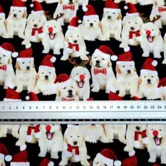 USAコットン　レトリーバー　子犬　犬　わんこ　サンタ　生地巾110×45cm