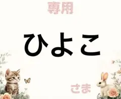 専用