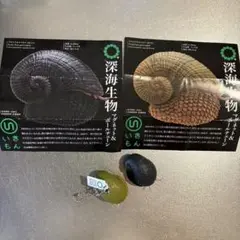 深海生物 カプセルトイ 2種セット