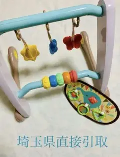 うちの赤ちゃん世界一 (R) スマート知育　ジム＆ウォーカー