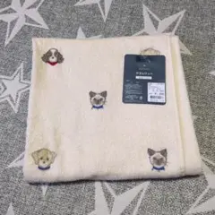 Cottoli タオルケット 約85×115cm 犬猫デザイン【新品】
