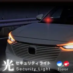 光セキュリティライト 2色
