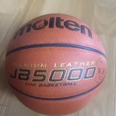 Item thumbnail for item a4656d47-21a8-4301-acd3-8d2209074889