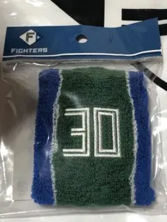 郡司裕也　選手カラー　リストバンド　新品　日本ハムファイターズ