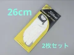 新品　左手用グローブ　タイトリスト　2枚セット26cm
