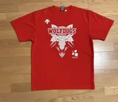 ［非売品］WOLFDOGS CUP 赤 Tシャツ 2024