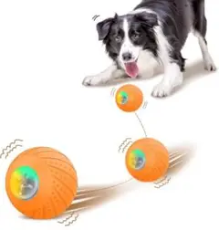 Item thumbnail for item e13ee495-34ea-4af6-b59f-57b8e45dd469