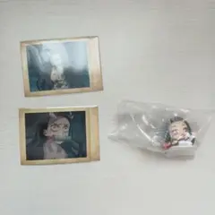 鬼滅の刃 禰豆子 ぱしゃこれ 参ノ陸