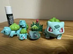 フシギダネ　フィギュアセット売り