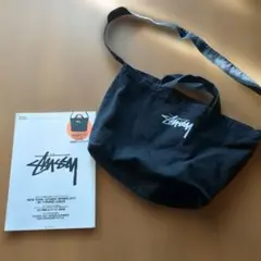 Item thumbnail for item 41519208-80d6-4e2f-bccf-b5ea3c4456ae