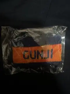 清水エスパルス　郡司　GUNJI 応援リストバンド 27番
