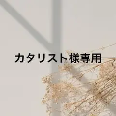 ✨美品✨Salvatore Ferragamo 長財布 クロコ ヴァラリボン