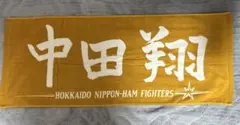 日本ハムファイターズ 中田翔 選手 (現 中日ドラゴンズ)応援直筆カラータオル