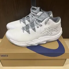 Item thumbnail for item b86449e1-e22e-43f6-b4ad-ed1d07a75161