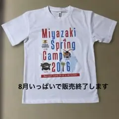 宮崎春季キャンプ2016 Tシャツ