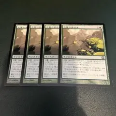 【FUT】大量の芽吹き(日) 4枚