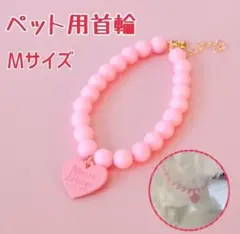 Item thumbnail for item c53ac52e-6bea-42aa-8cb3-f09adeb39ae5