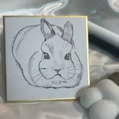原画 1点もの うさぎのまろくん⑤