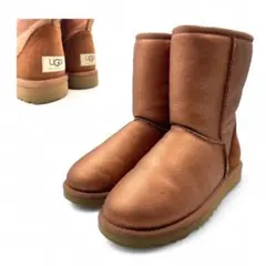 Item thumbnail for item 07779ed0-6c85-4186-8706-205f2af6bd44