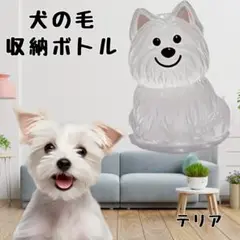 Item thumbnail for item 38beda2e-8cc3-4912-adc3-96dd34900a3c