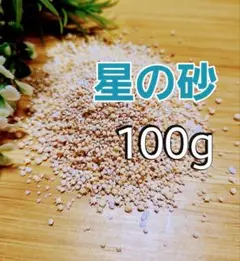 星の砂★100g