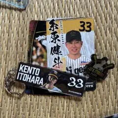 阪神タイガース　シークレット　糸原健斗　糸原