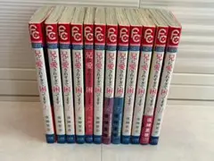 兄に愛されすぎて困ってます 全11巻セット