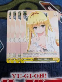 ヴァイスシュヴァルツ 安らぎの温もり
